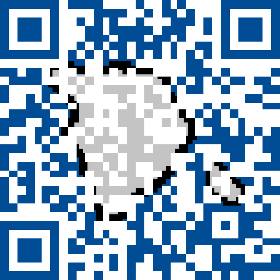 PayPal donation QR code for Trotu Server